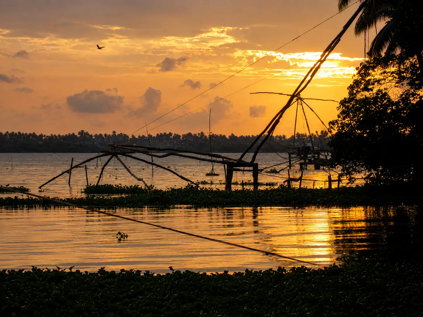 Chinese Fishing Nets